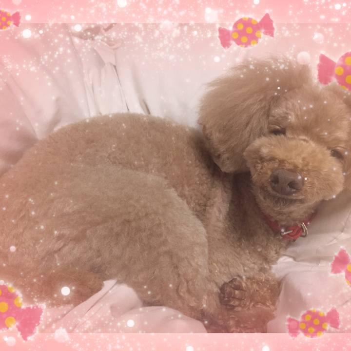 36f00982 eddd 464a 8627 26a88804cad4 1509230288645