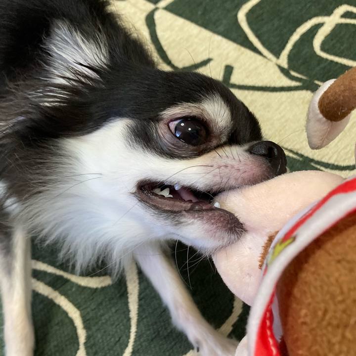 36f06128 d994 497a 86f7 8569e32f6c51 1633839406213