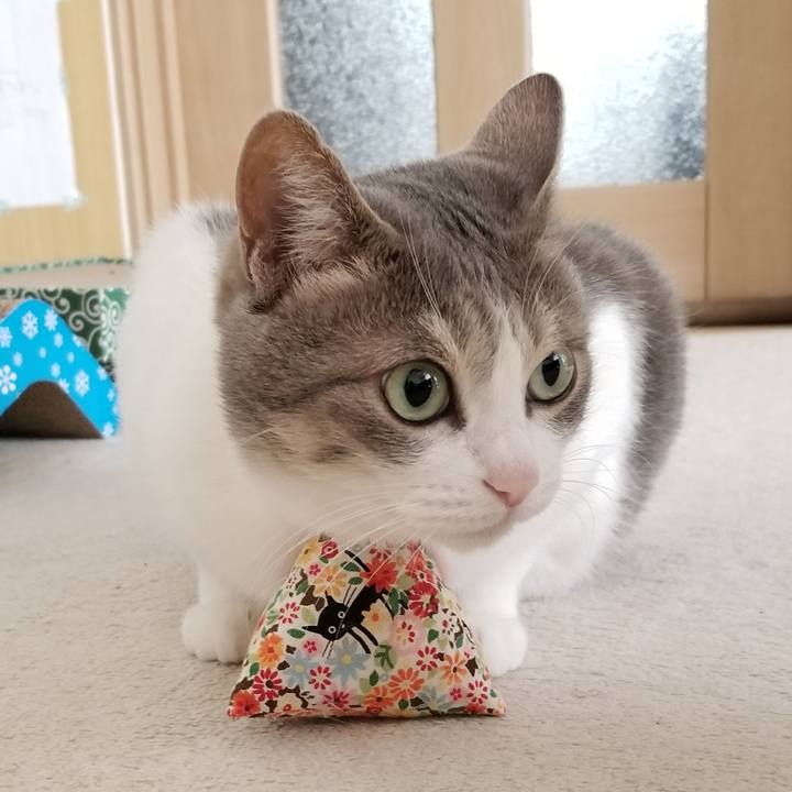 36f065fd bdc3 43ea 9eb6 c1cf5c64069a 1617710166821