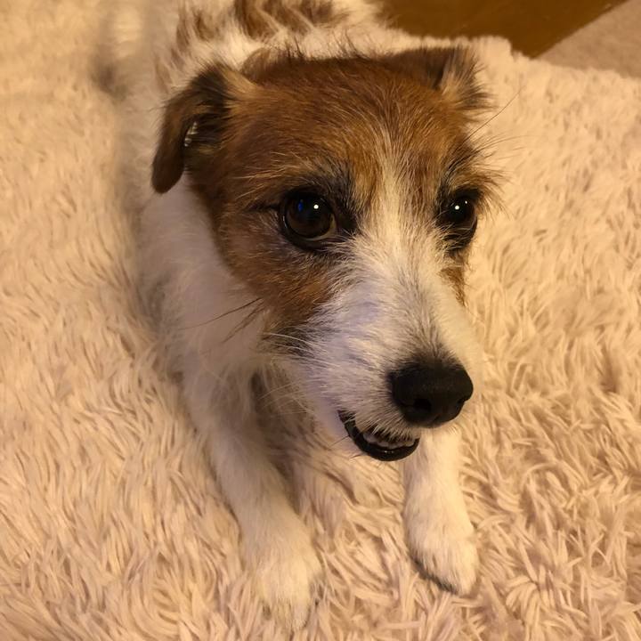 36f0c417 f499 4368 b704 6e65e7982f59 1625318089057