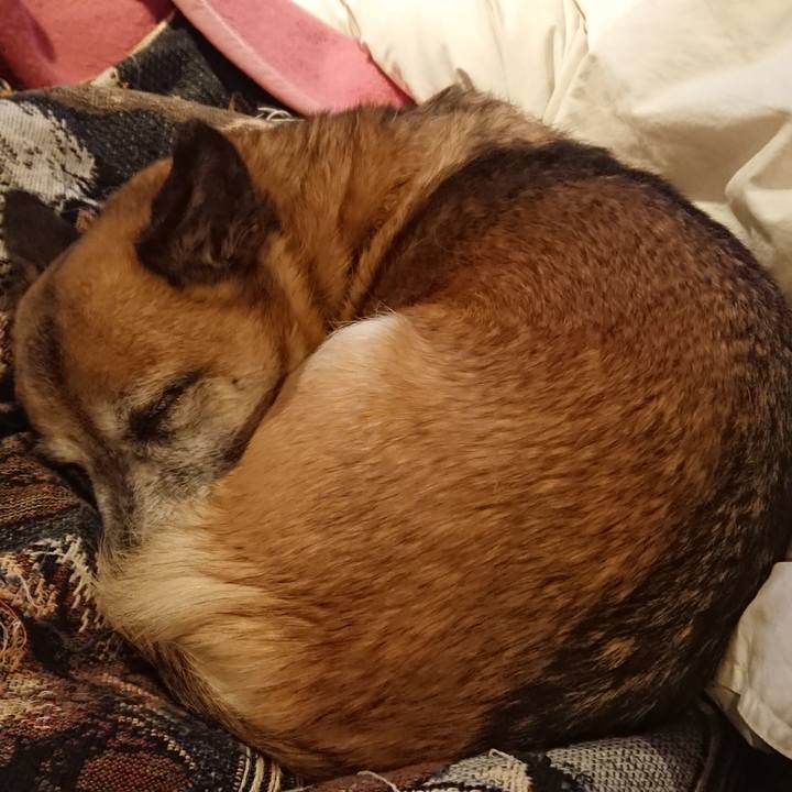 36f0e9b0 200a 4b73 94da 9b6e102a5c34 1521642111712