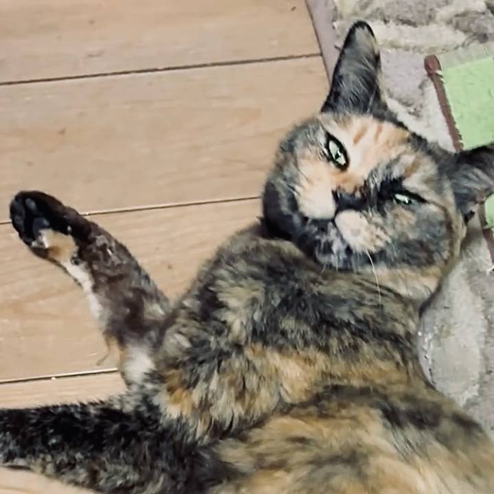 36f103dc 69ae 4258 bb33 bb3bc08303ef 1744891006563