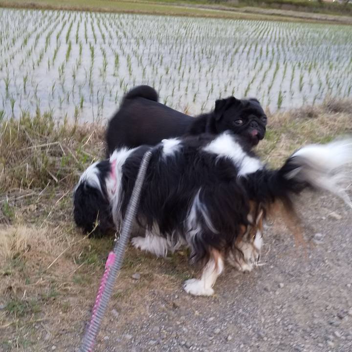 36f12346 4eb2 4f50 b658 c434784d0ee9 1558094937194