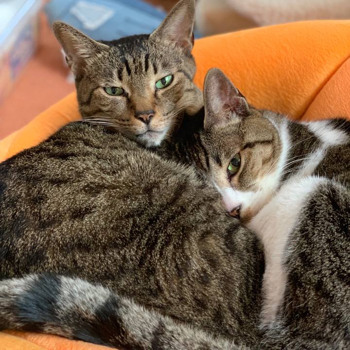 36f18c8f c4fc 485c 99da f34af98bff27 1546908936128