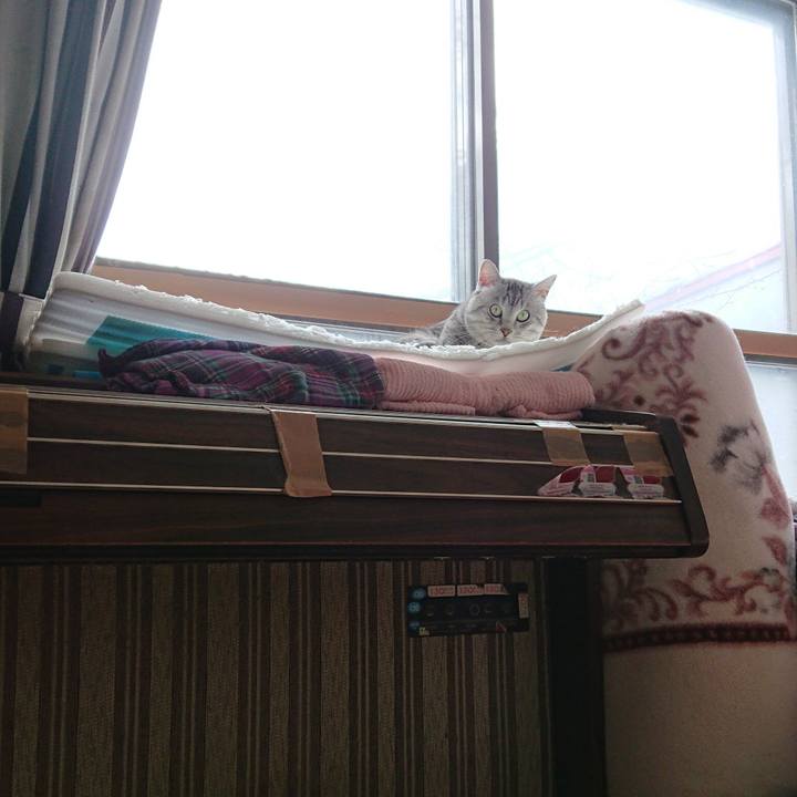 36f1b020 d84a 443d 8369 f5c9ee93c83c 1549849907509