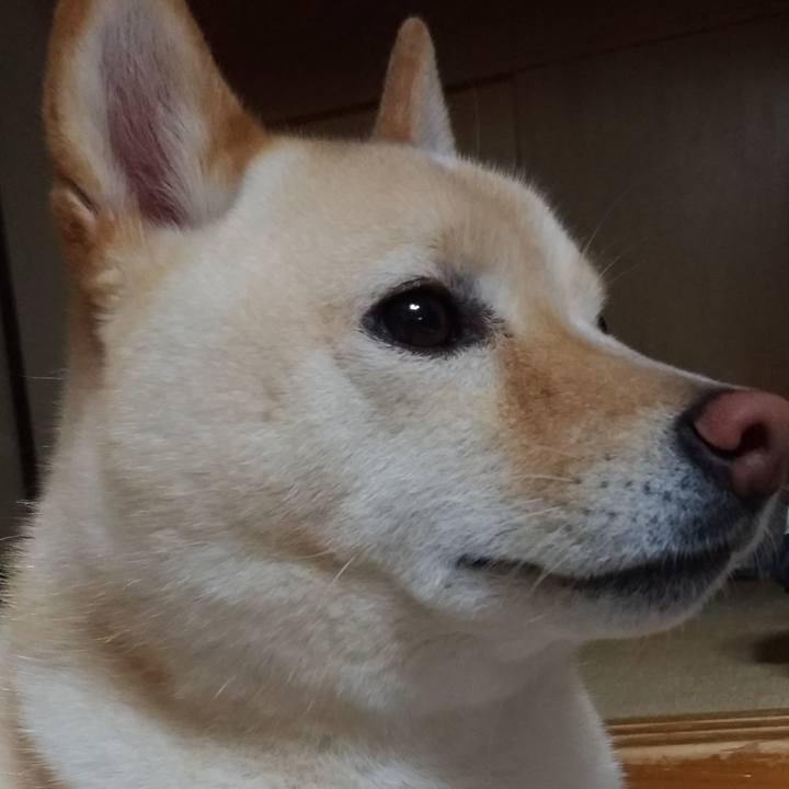 36f1b1ab 643c 4e0d bf6a 44094c5ff892 1591955366980