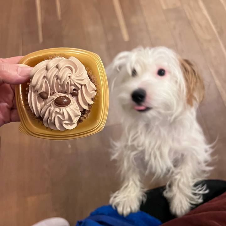 36f1f8c0 705b 40ad 84e7 758ca29dc01a 1740056302255