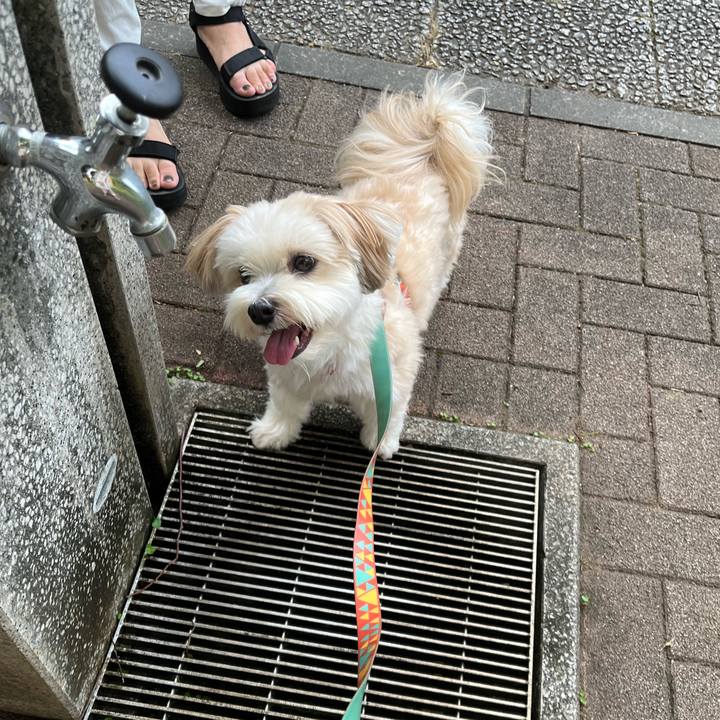 36f20c19 4dad 486c 9f7d 2c4d8a33e889 1755920204894