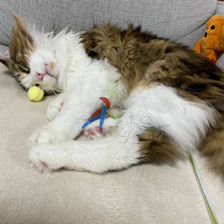 36f2126b c7bc 425b 80dd 43039d9e6e54 1675515146835