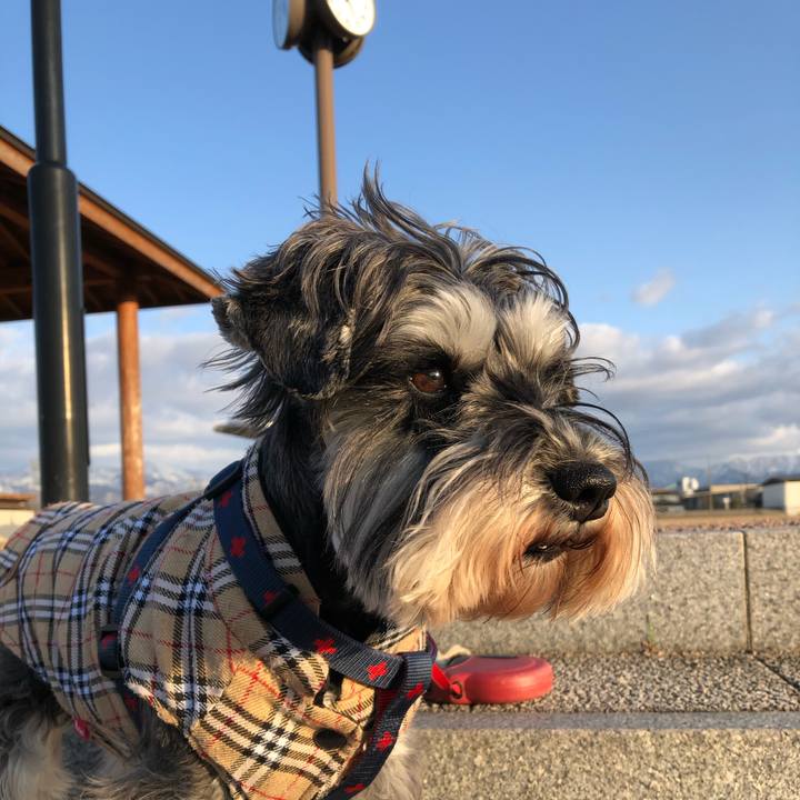 36f21a83 70b0 4c8e b234 cb1f23d2158b 1615714769630