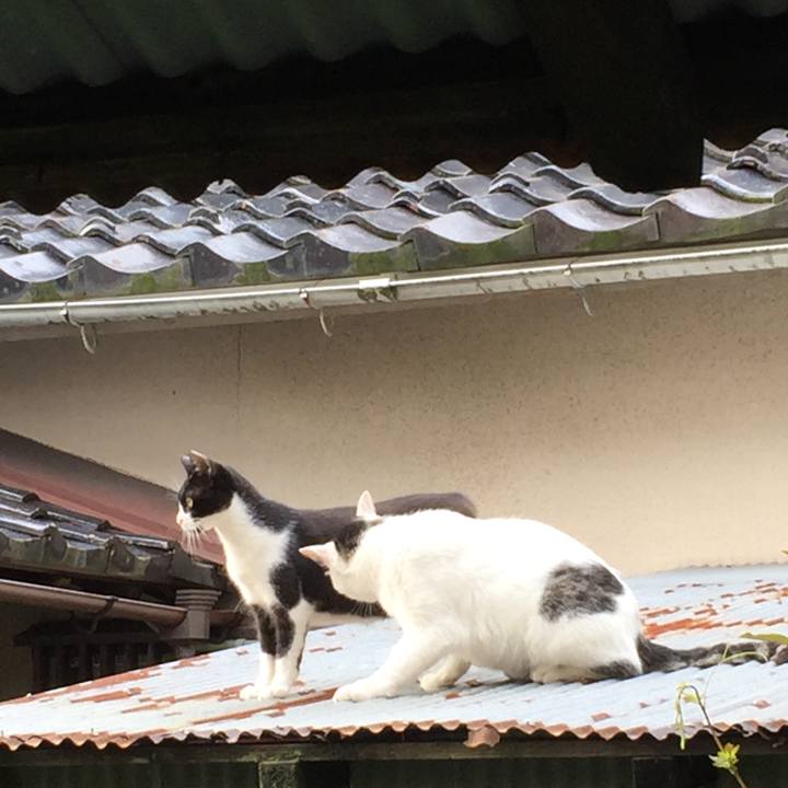 36f21cc5 c11e 4c25 b896 3405b1a7280f 1655773511037