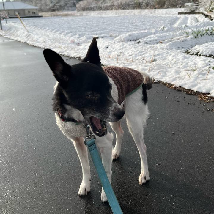 36f22d55 8e2c 4845 b9f8 4a661273560d 1767398496087