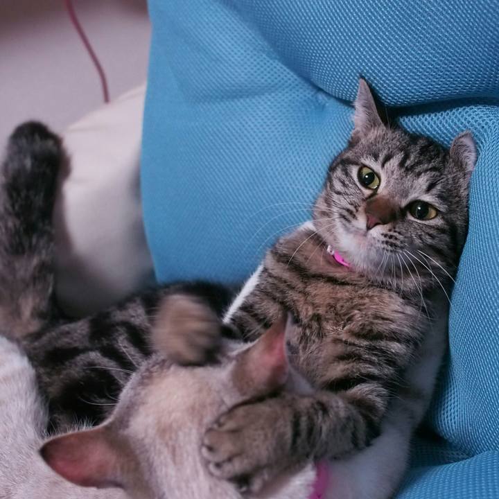 36f27207 153f 4a06 b637 4ae1d5d411d7 1519395217919