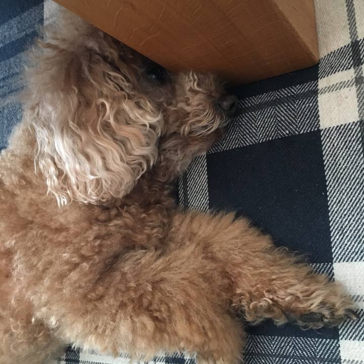 36f2a882 8011 4bfc b7ce 5072a0a5b024 1523804602409