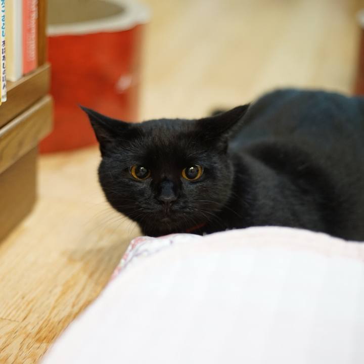 36f2b60b 19d3 4184 976f 7813c6b5a312 1531402367295