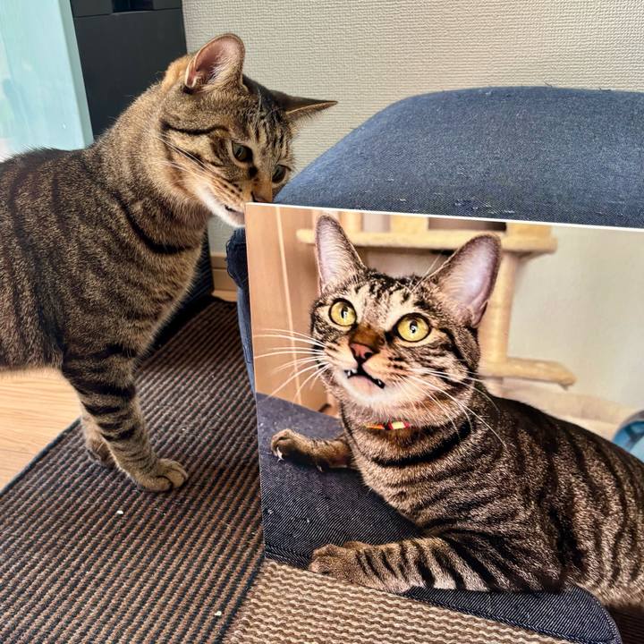 36f2bb5c e840 4efc a981 498b8e1d7cda 1762134303094