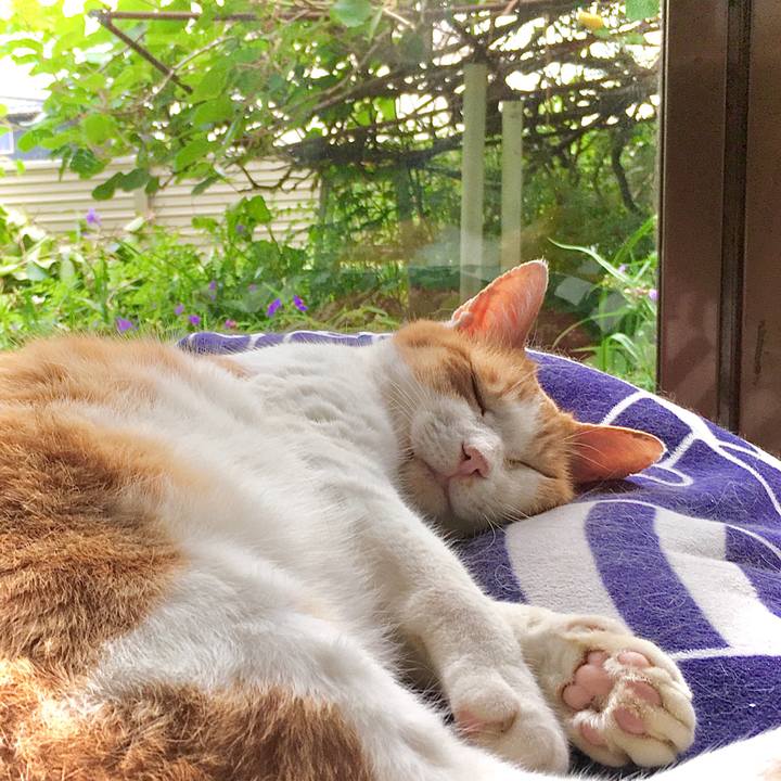 36f31d92 ea8f 4d7b aa87 ebfda7f1dec5 1592036245499