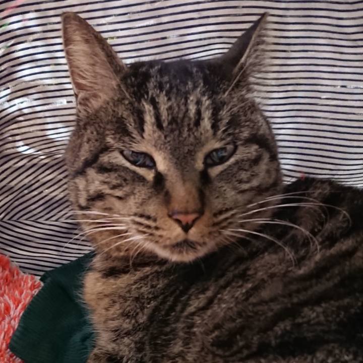 36f32903 f5db 455b 9688 988d06f3d254 1640956939481