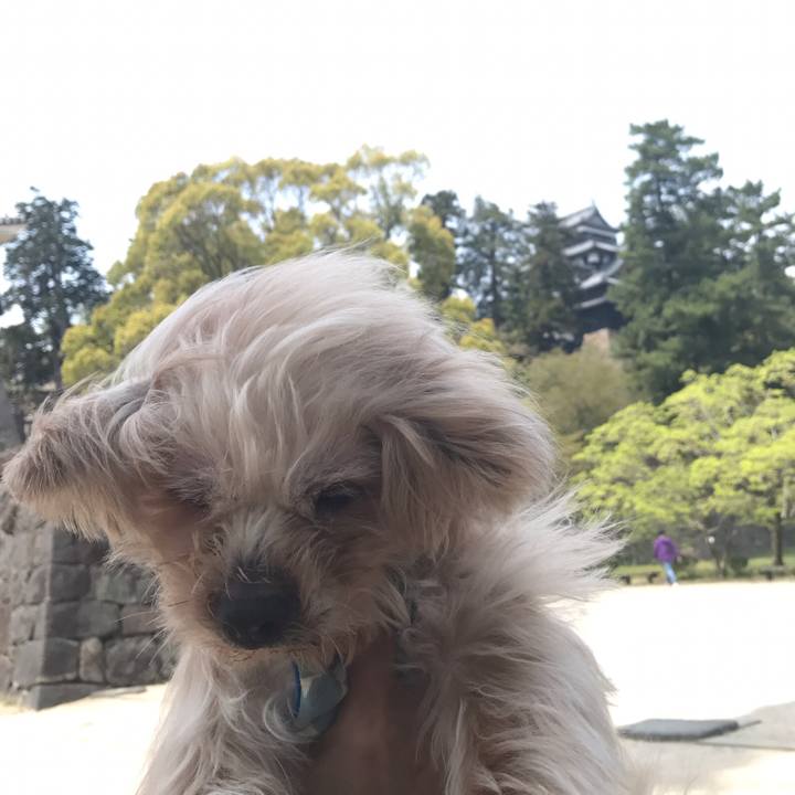 36f330bc 9082 4452 a5ce 30b251ee6f12 1564501422602