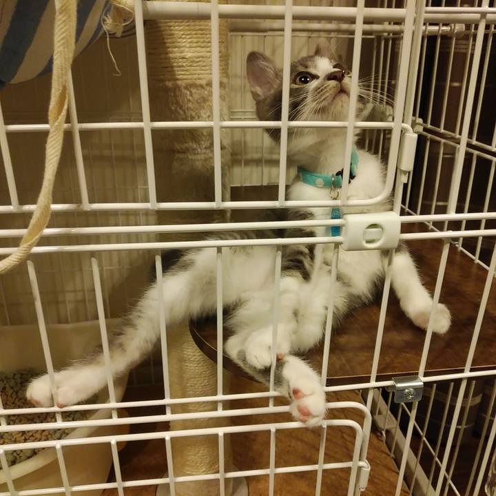 36f34ab2 737e 4ea6 9ff4 0879423234ec 1563464857959