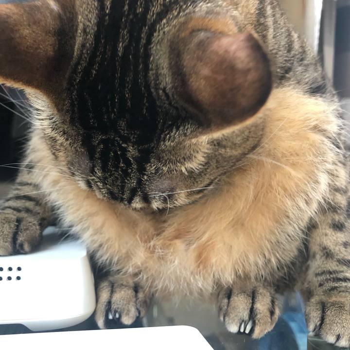 36f34fa4 4845 435e ab9e e53638914ed1 1582143562855