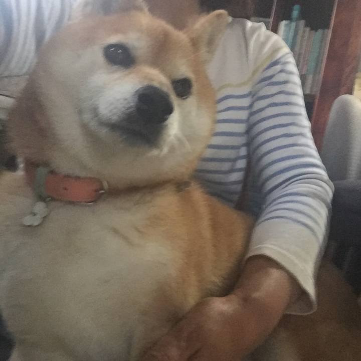 36f34fe8 cd7d 471d 8999 e0a998281ce1 1557222890409