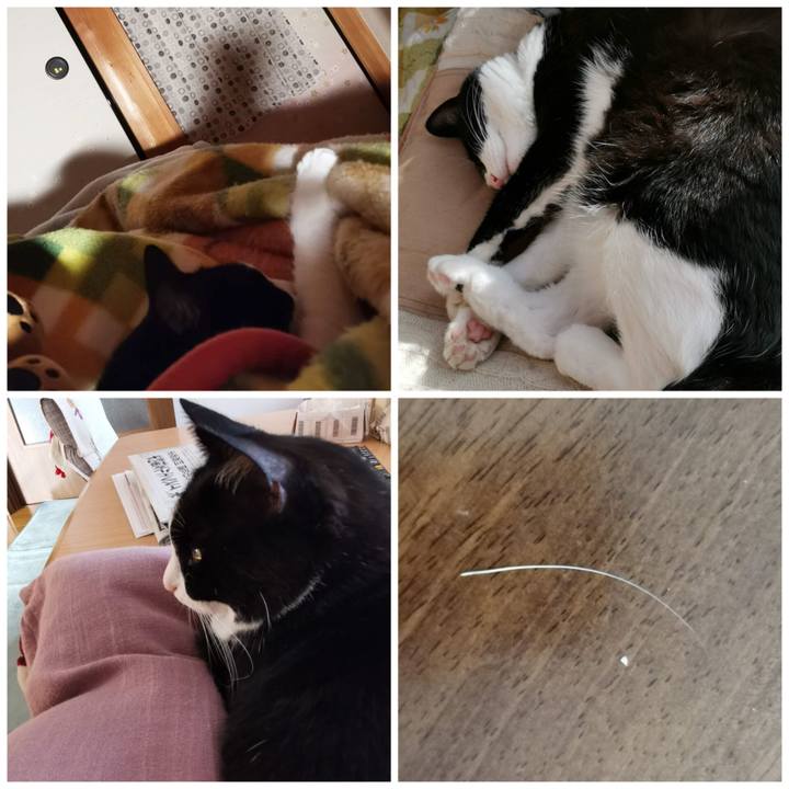 36f35cae 5969 43a4 8de3 c9b14dad6608 1697772888405