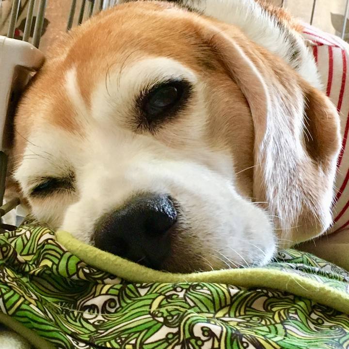 36f39868 89ba 4a8d af61 356afe0367f2 1539838654525