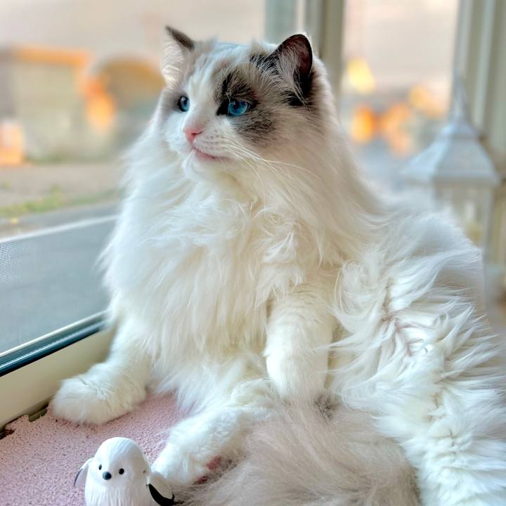 36f39a7f 1cf0 4638 9f82 6eadbc4d639f 1641459158842