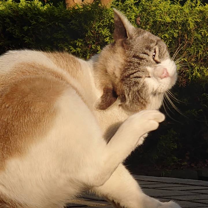 36f3b016 abcc 439c 8f05 205eaa49334f 1619668331079