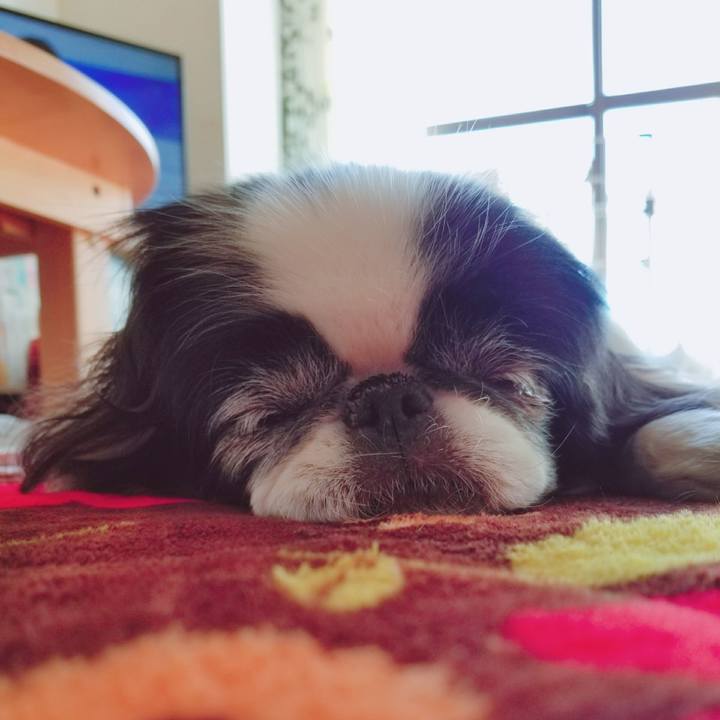 36f3c4c3 f614 47e6 8a38 0599110d8588 1515318849189