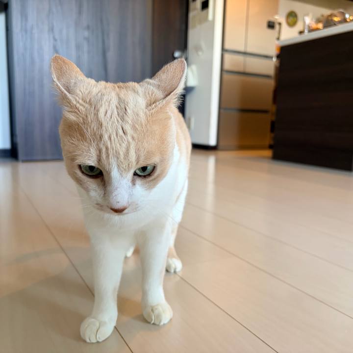 36f41481 b431 4ee5 a087 f15b58a0bdee 1765068467853