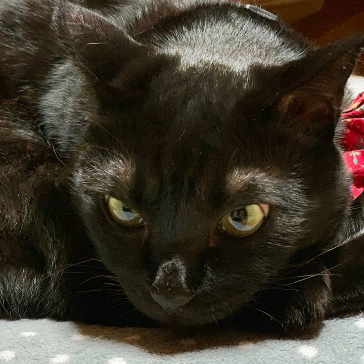 36f416cf d222 49b9 8ef8 27941597f2a3 1559397859535