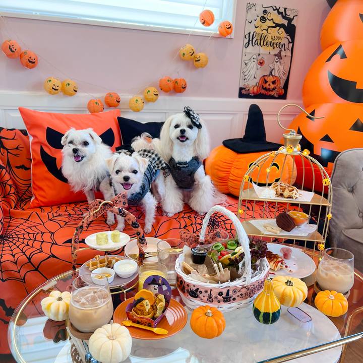 36f4173c d5c2 4039 86a5 5926a6af8868 1698668548037