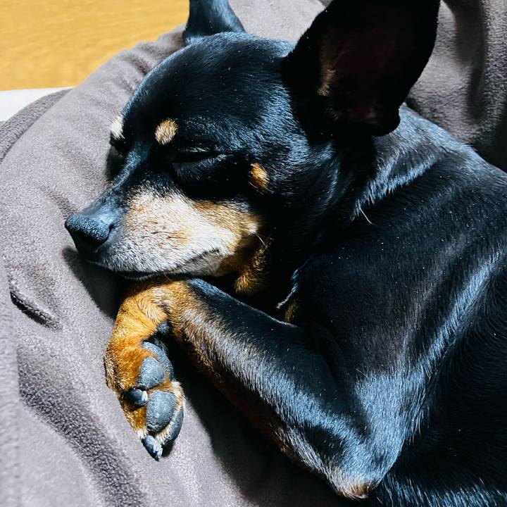 36f438eb 739b 4488 9f59 b7d6f6a31cd6 1772284681829