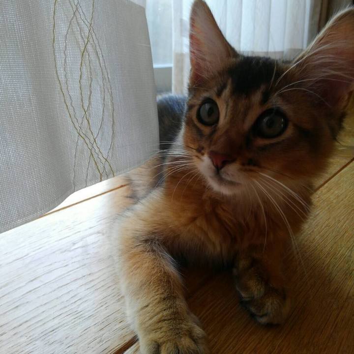 36f44429 bbe2 47c0 8bcc 4836a008e9ad 1584933028109