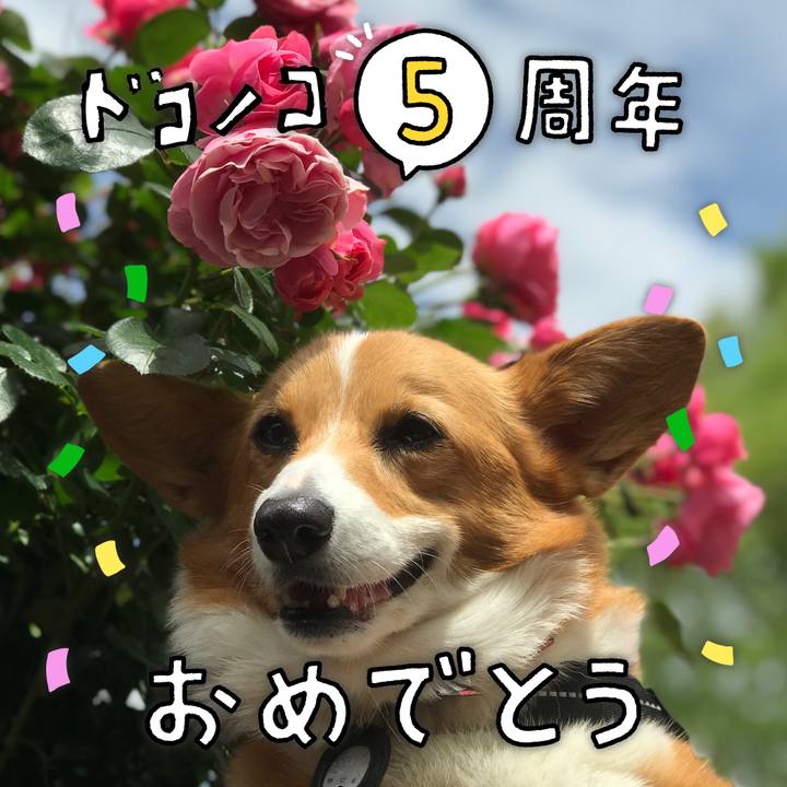 36f449d8 74f6 419a 88ba 12a1b1f963c3 1622871872879