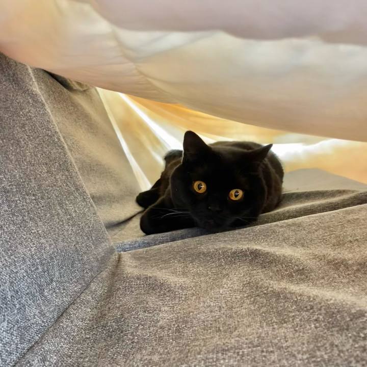 36f45185 bb0b 437e 9f8f b1ff18f7d3bc 1745466228110