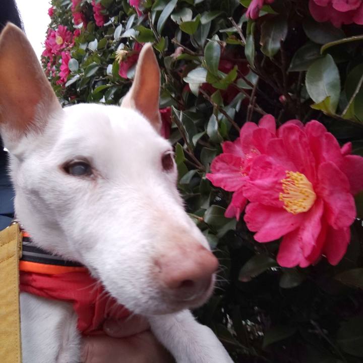 36f46afd bc6c 4e1c 91ff 8357edb2929a 1579421333577