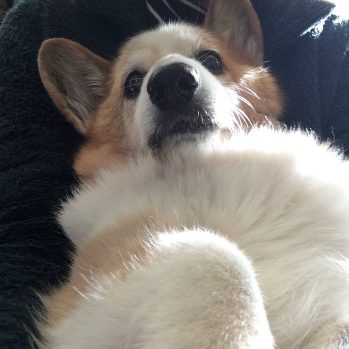 36f489da 874e 4d1e bf49 85f2a419d62b 1575084372192