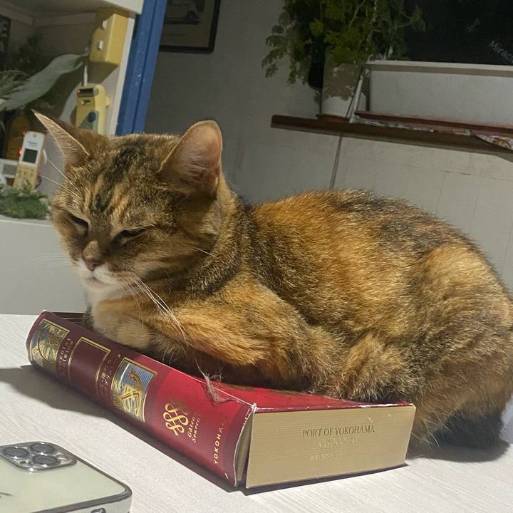 36f493de 8a32 4b37 a4d0 4eff468788aa 1752425118837