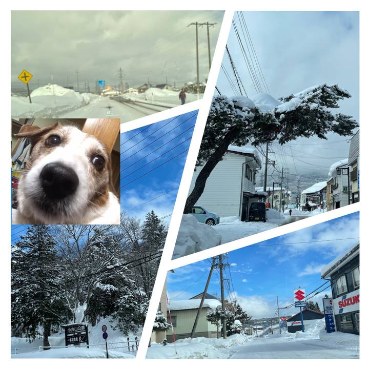 36f49944 378b 4310 8370 af8b4066fd37 1643491991235