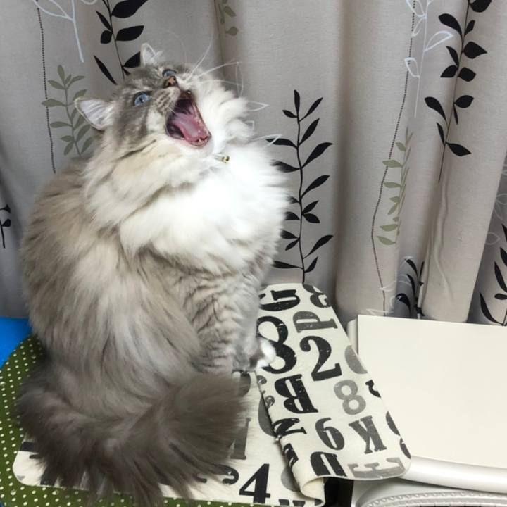 36f4b2f3 0d04 4aff ac30 d1dc341a153a 1558271765589