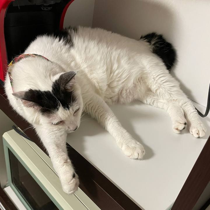 36f4b6f0 2043 4847 94b6 afdf3e824949 1629725670840