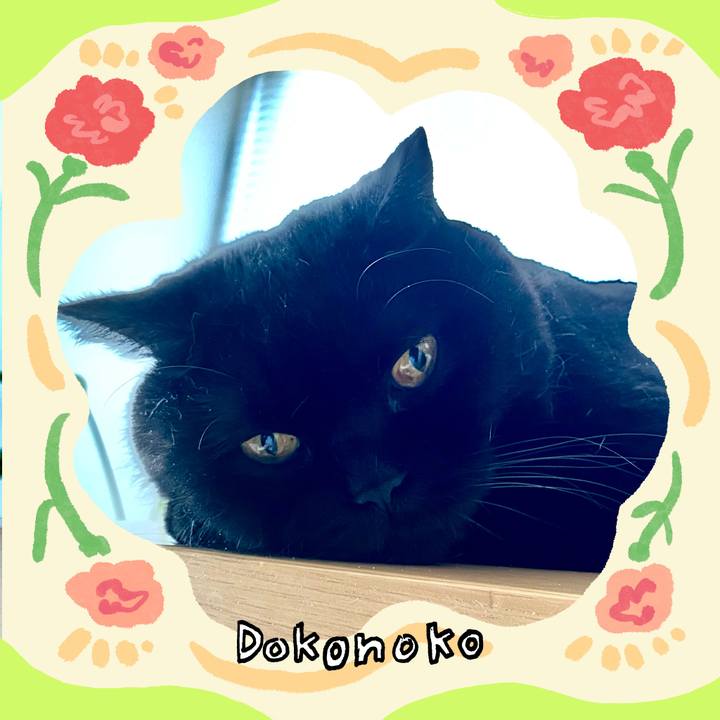 36f4c03b cfa5 4e70 9a2b a86f29e815c6 1715470442276