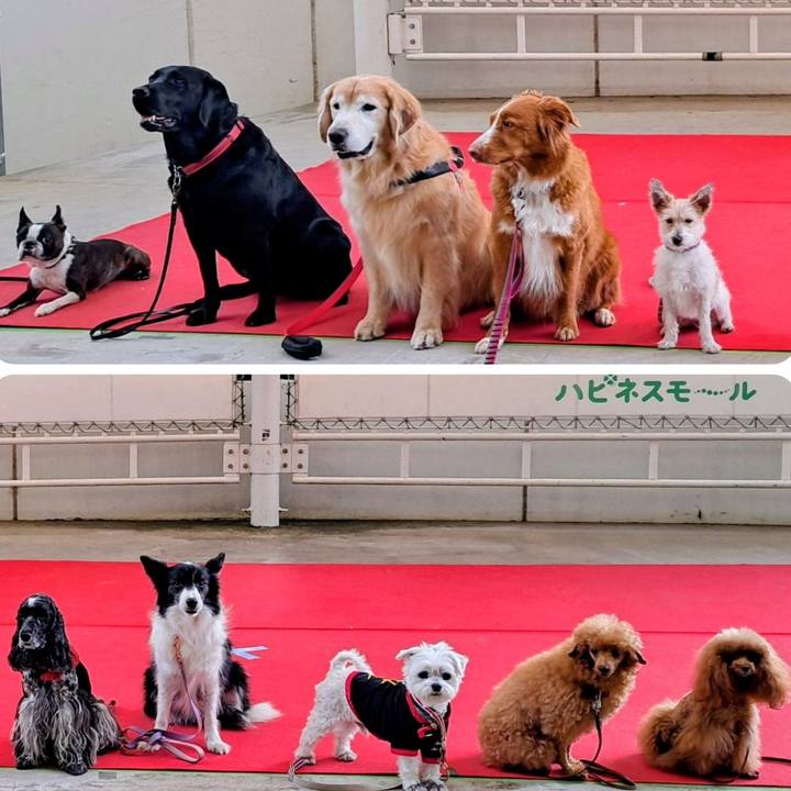 36f4fff4 4aa4 4b65 ba4a 3631321b26a2 1763983934376