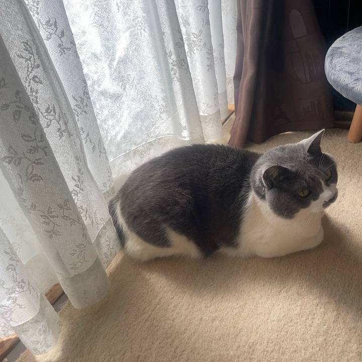 36f528c1 1552 4e24 b30e 6dcbd6aa888b 1741241295269