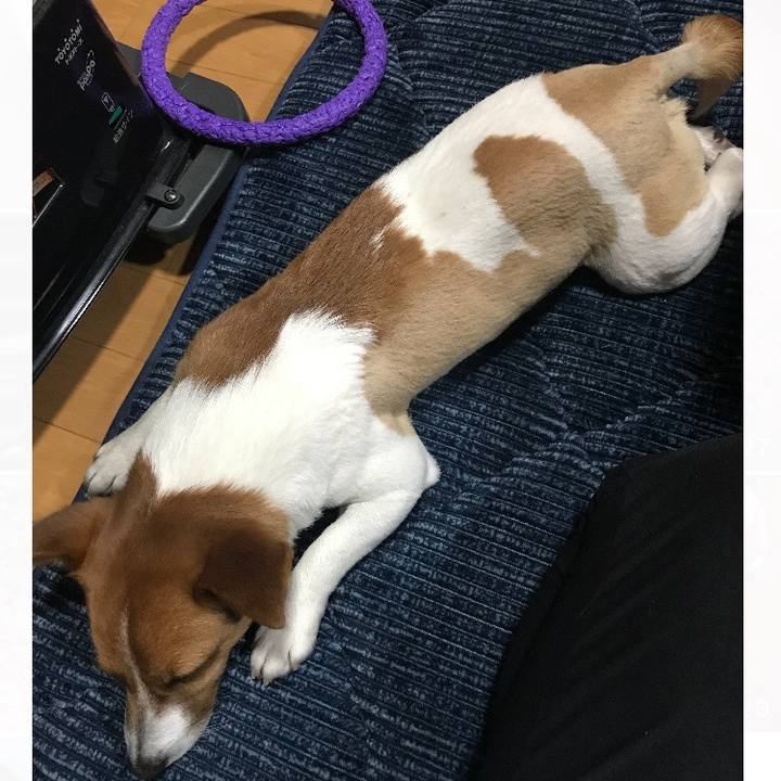 36f5310e d727 4f3e 8760 63d4a45e2aed 1647777209882