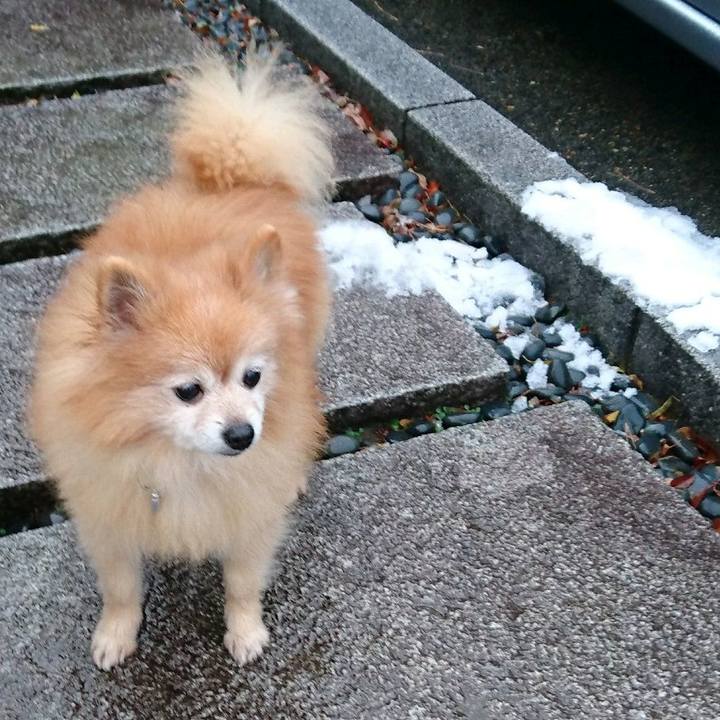 36f53f1a dc1b 4b04 bce7 57d68a4c5195 1544222789406