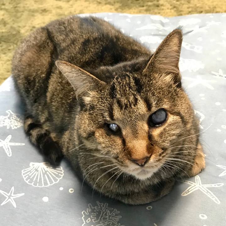 36f54588 be44 484f ba2d af40975a1a1c 1583985555855